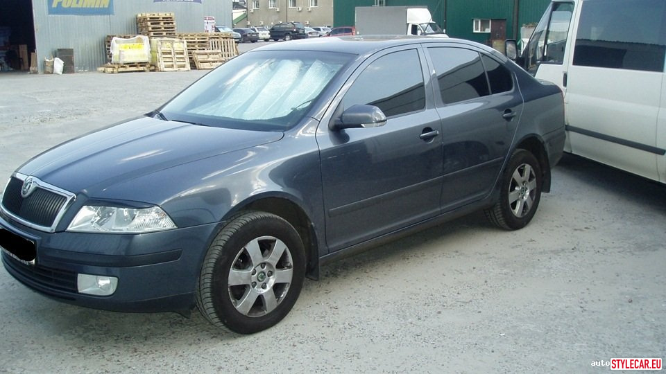 Eyelashes On Headlights [Sk10At2122Bsm] For Škoda Octavia (A5) 