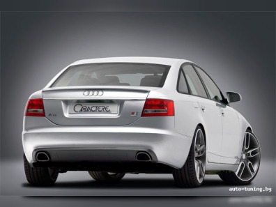 Audi A6 (C6) Trunk Lid Spoiler [AU13AT0296JN]